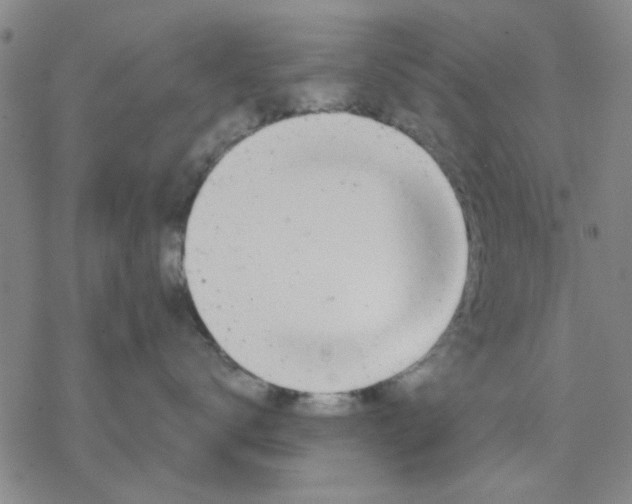 X0000076390672200610271554