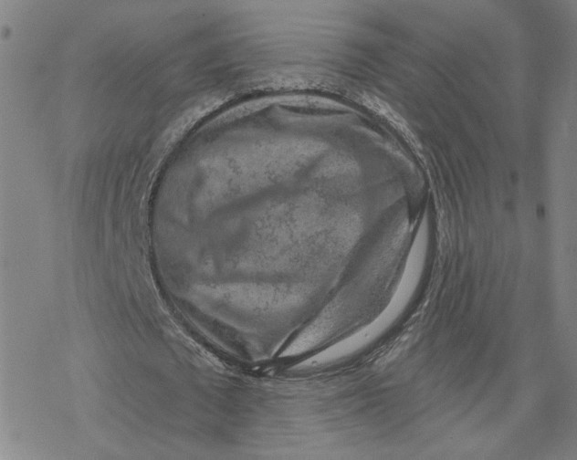 X0000076390673200610271553