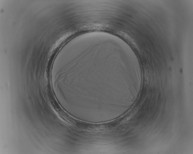 X0000076390674200610271553