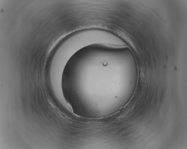 X0000076390676200610271553