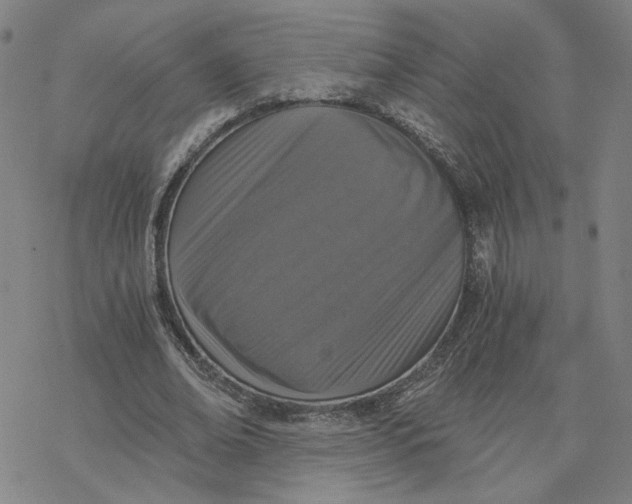 X0000076390678200610271553