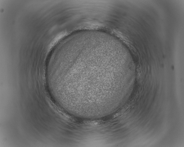 X0000076390679200610271553