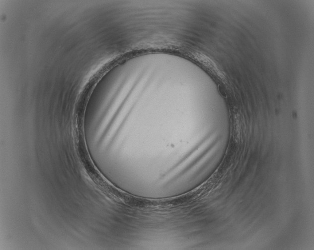 X0000076390680200610271553