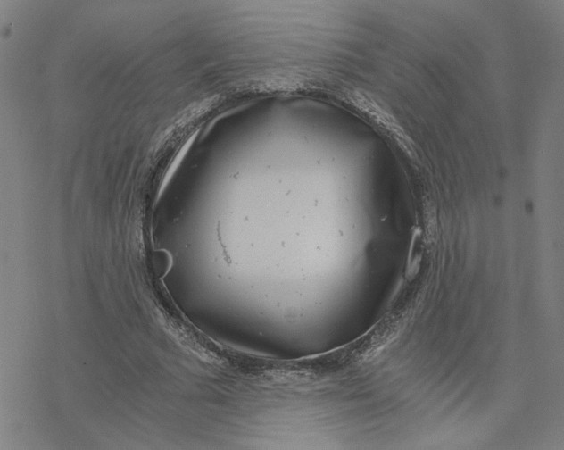 X0000076390681200610271553