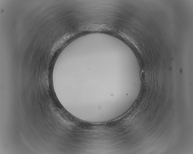 X0000076390682200610271553