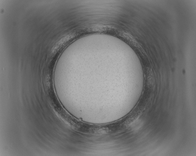 X0000076390683200610271553