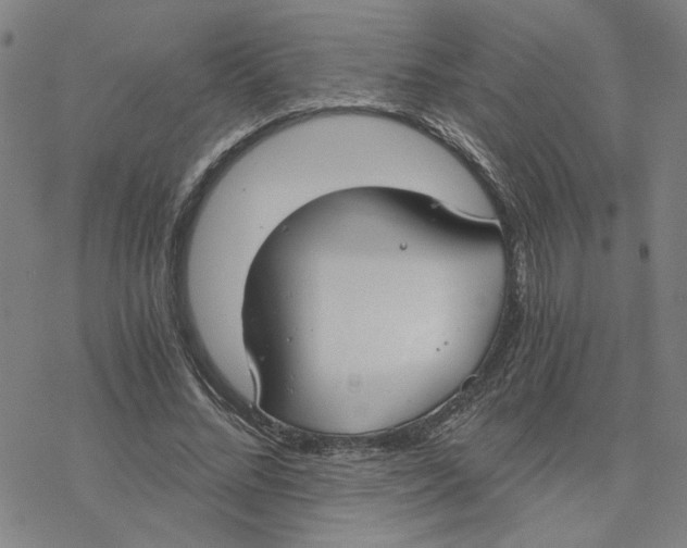 X0000076390684200610271553