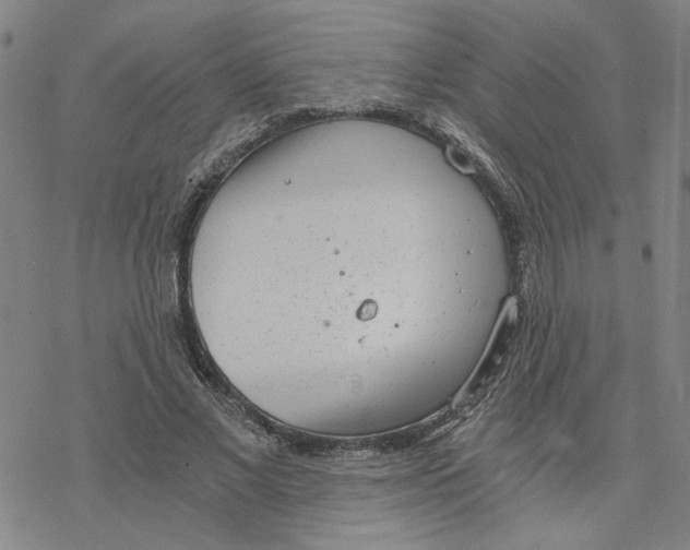 X0000076390685200610271553