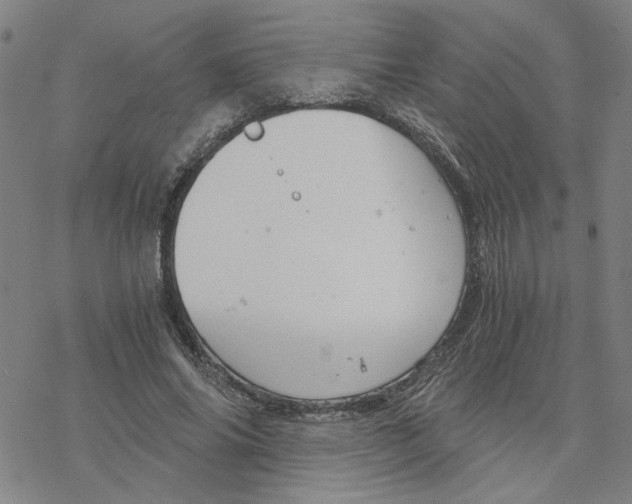 X0000076390686200610271553