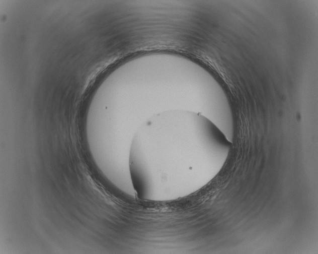 X0000076390688200610271553