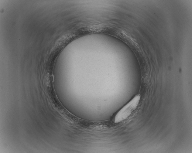 X0000076390689200610271553