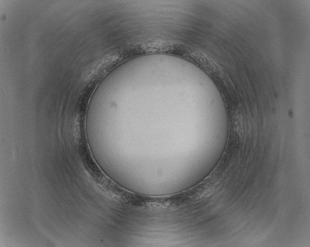 X0000076390690200610271553