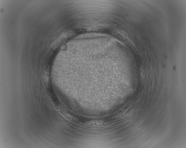 X0000076390691200610271553