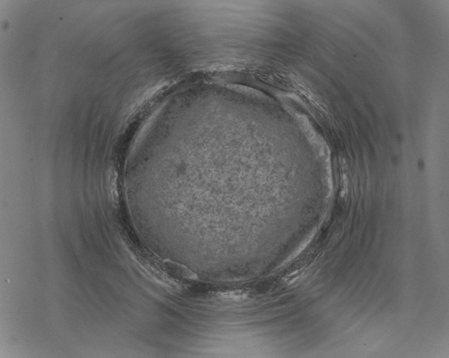 X0000076390692200610271553