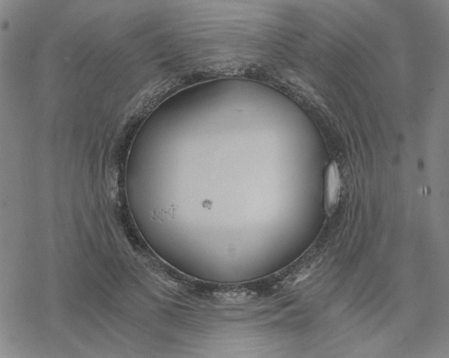 X0000076390693200610271553