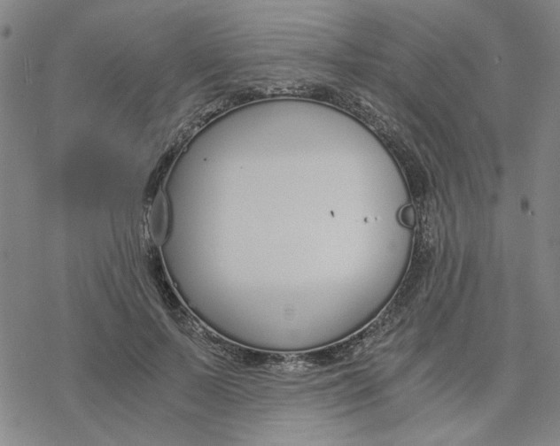 X0000076390695200610271553