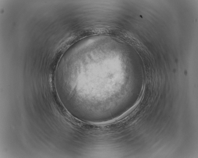 X0000076390696200610271553