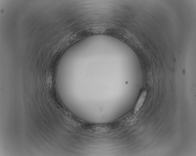 X0000076390697200610271553