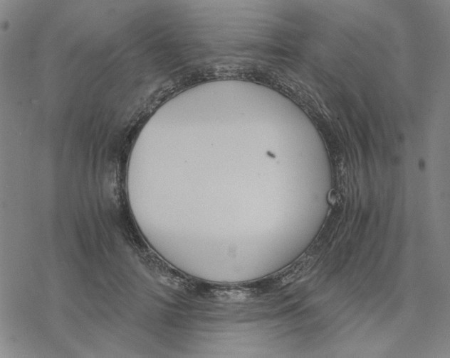 X0000076390698200610271553