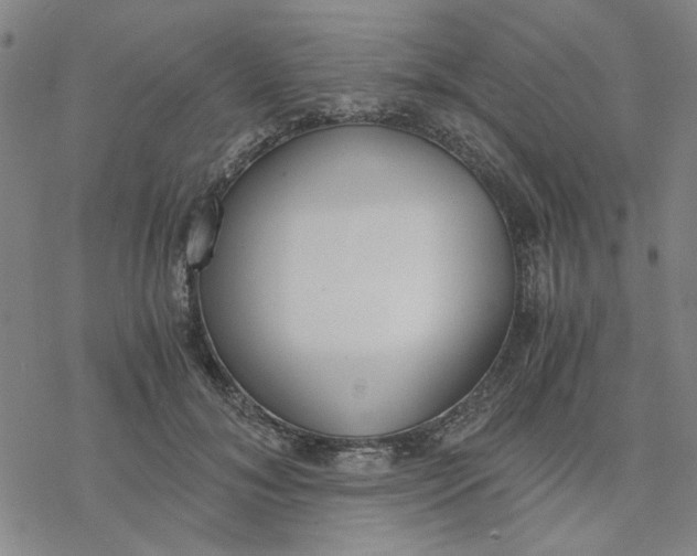 X0000076390700200610271553