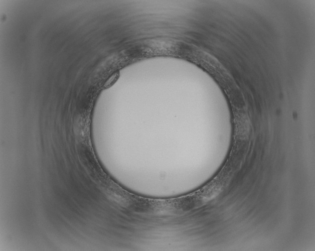 X0000076390701200610271553