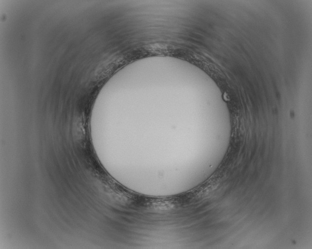 X0000076390702200610271553