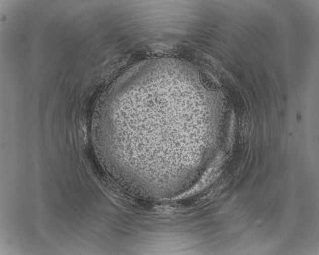 X0000076390703200610271553