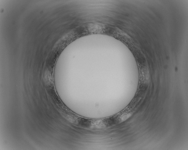 X0000076390705200610271553