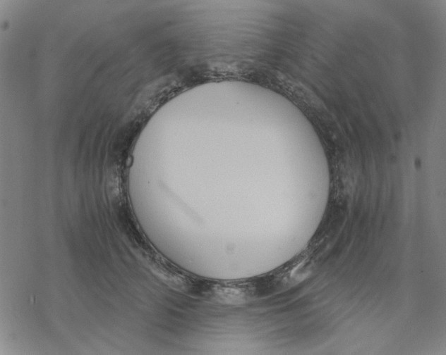 X0000076390706200610271553