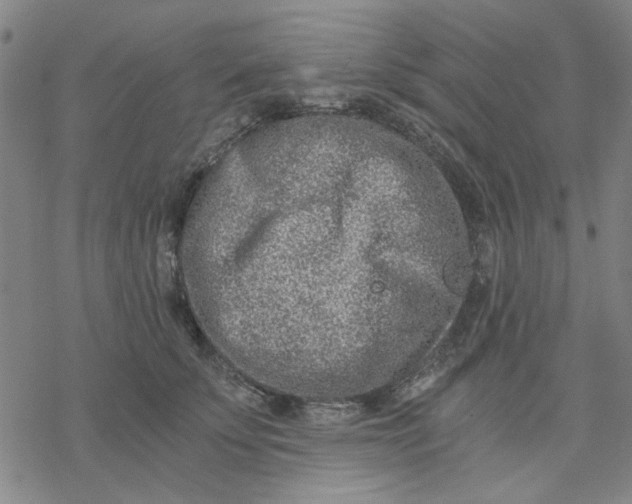 X0000076390707200610271553