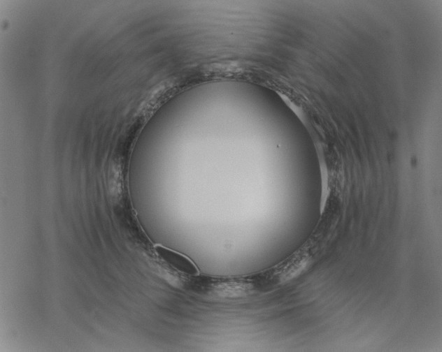 X0000076390708200610271553