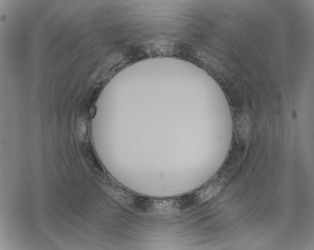 X0000076390709200610271553