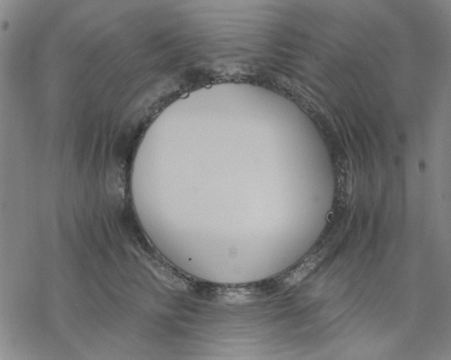 X0000076390710200610271553