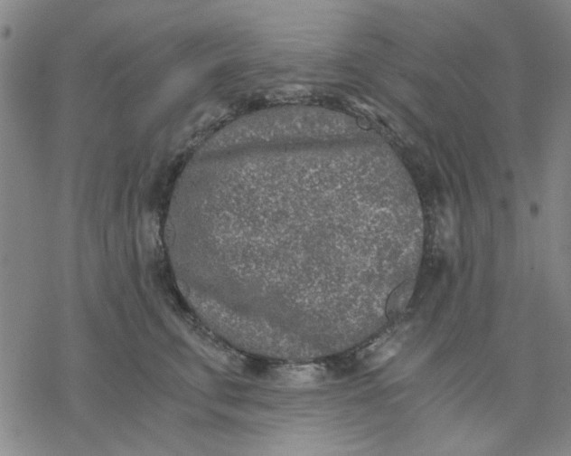 X0000076390711200610271553