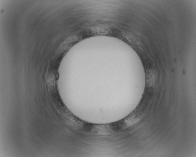 X0000076390713200610271553