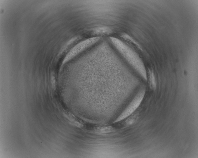 X0000076390716200610271553