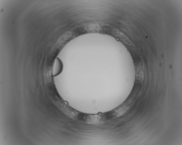 X0000076390717200610271553