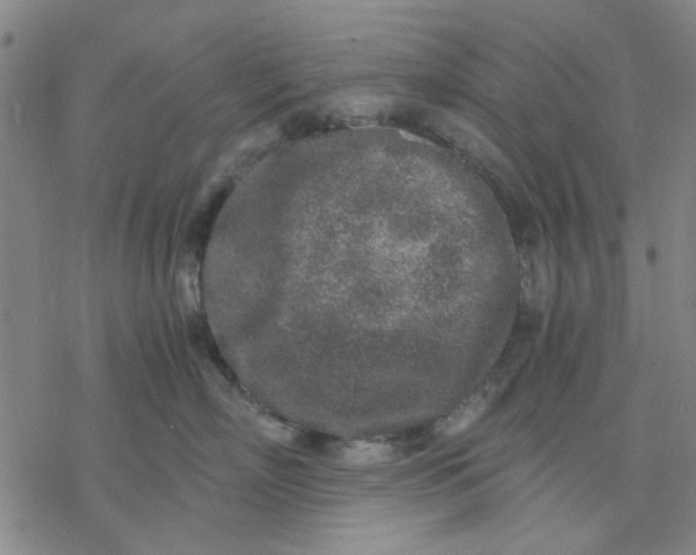 X0000076390718200610271553