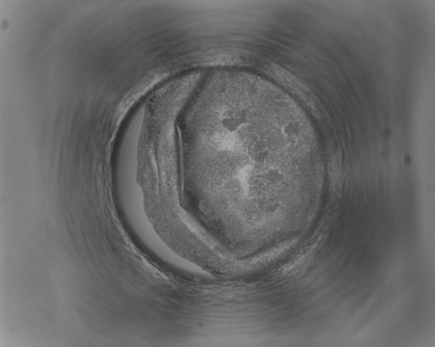 X0000076390721200610271552