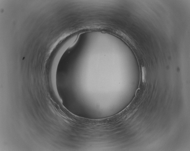 X0000076390723200610271552