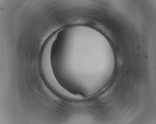 X0000076390725200610271552