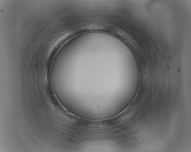 X0000076390727200610271552