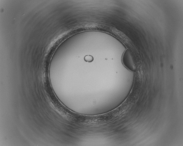 X0000076390728200610271552