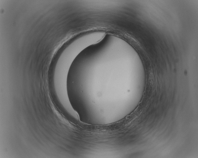 X0000076390730200610271552