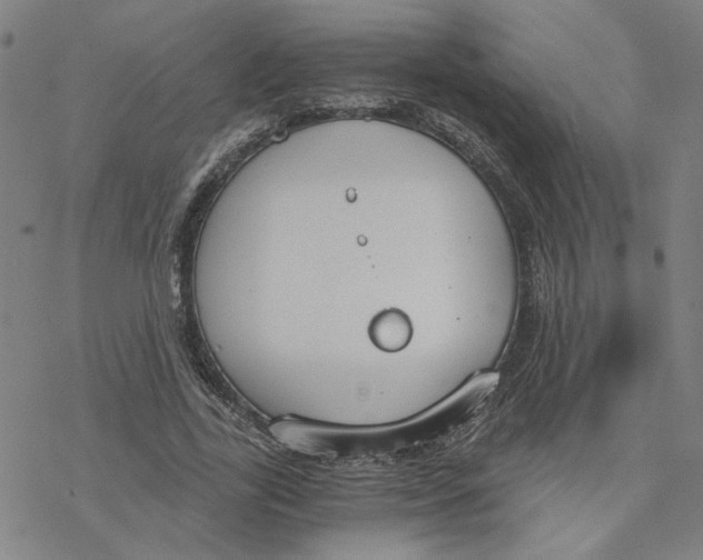 X0000076390731200610271552