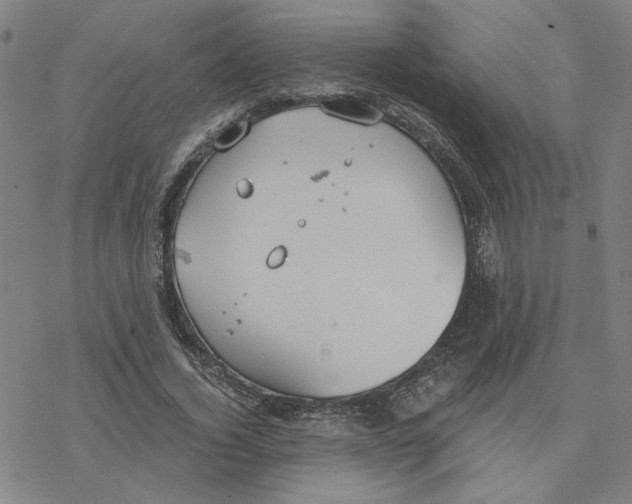 X0000076390732200610271552