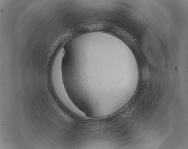 X0000076390733200610271552