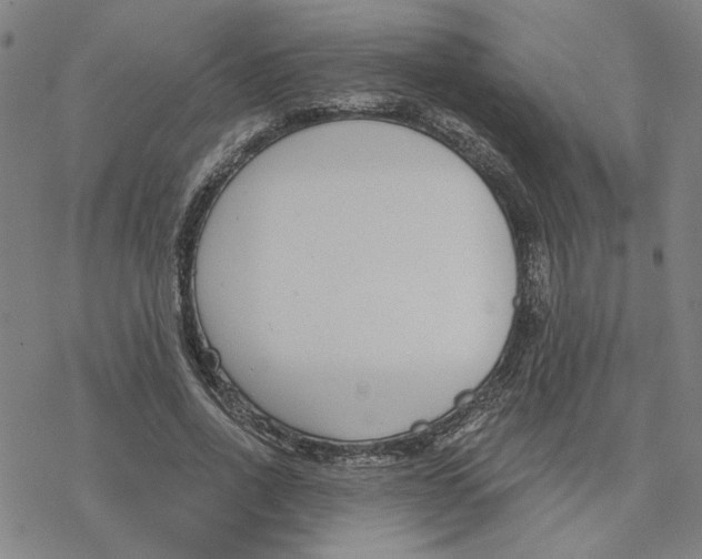 X0000076390734200610271552