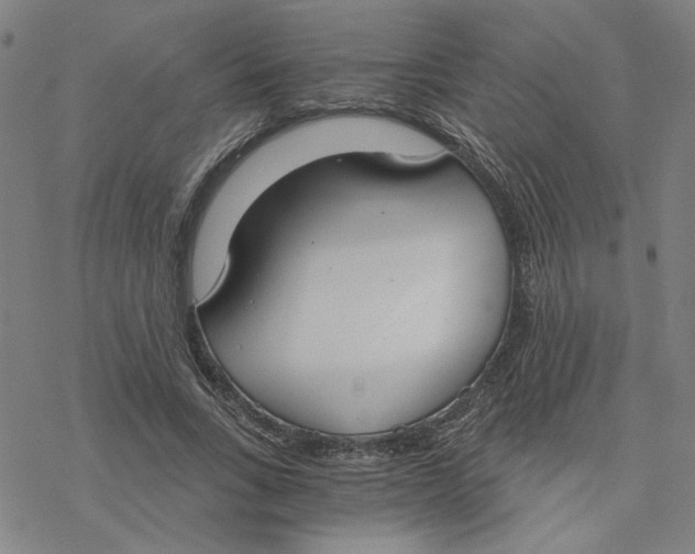 X0000076390735200610271552