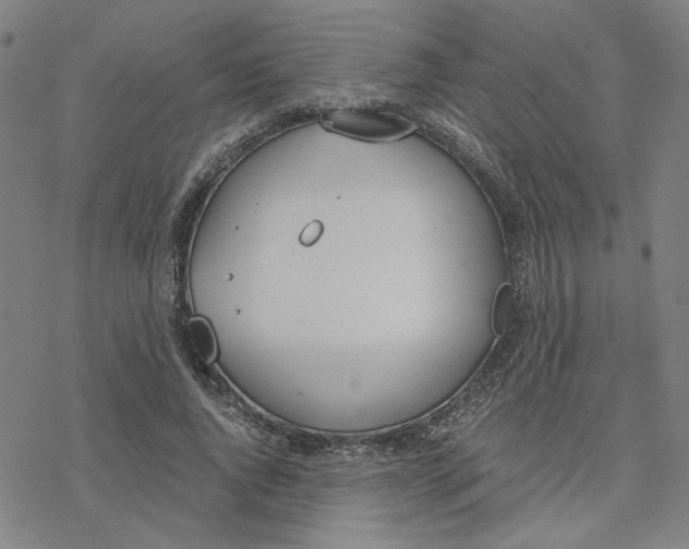 X0000076390736200610271552